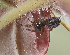  ( - BIOUG39663-D03)  @11 [ ] CC0 (2020) Unspecified Unspecified