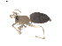  ( - BIOUG00613-D01)  @12 [ ] CC-0  G. Blagoev 2010 Unspecified
