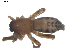  ( - BIOUG00613-D09)  @12 [ ] CC-0  G. Blagoev 2010 Unspecified