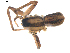  ( - BIOUG00613-E08)  @12 [ ] CC-0  G. Blagoev 2010 Unspecified
