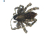  ( - BIOUG00613-F05)  @12 [ ] CC-0  G. Blagoev 2010 Unspecified