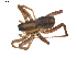  ( - BIOUG00613-G02)  @13 [ ] CC-0  G. Blagoev 2010 Unspecified