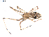  ( - BIOUG00613-H09)  @12 [ ] CC-0  G. Blagoev 2010 Unspecified