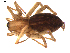  ( - BIOUG00614-A05)  @13 [ ] CC-0  G. Blagoev 2010 Unspecified