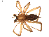  ( - BIOUG00614-B02)  @13 [ ] CC-0  G. Blagoev 2010 Unspecified