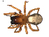  ( - BIOUG00614-B06)  @13 [ ] CC-0  G. Blagoev 2010 Unspecified