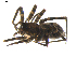 ( - BIOUG00614-D02)  @12 [ ] CC-0  G. Blagoev 2010 Unspecified