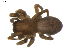  ( - BIOUG00614-D05)  @13 [ ] CC-0  G. Blagoev 2010 Unspecified
