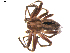  ( - BIOUG00614-E10)  @12 [ ] CC-0  G. Blagoev 2010 Unspecified