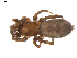  ( - BIOUG00614-E12)  @12 [ ] CC-0  G. Blagoev 2010 Unspecified