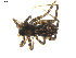  ( - BIOUG00614-F02)  @12 [ ] CC-0  G. Blagoev 2010 Unspecified