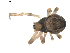  ( - BIOUG00615-A02)  @12 [ ] CC-0  G. Blagoev 2010 Unspecified