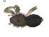  ( - BIOUG00615-C08)  @12 [ ] CC-0  G. Blagoev 2010 Unspecified
