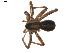  ( - BIOUG00615-C10)  @12 [ ] CC-0  G. Blagoev 2010 Unspecified