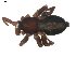  ( - BIOUG00615-C12)  @12 [ ] CC-0  G. Blagoev 2010 Unspecified