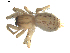  ( - BIOUG00622-G03)  @12 [ ] CC-0  G. Blagoev 2010 Unspecified