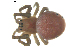  ( - BIOUG00622-G05)  @13 [ ] CC-0  G. Blagoev 2010 Unspecified
