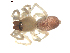  ( - BIOUG00622-H08)  @12 [ ] CC-0  G. Blagoev 2010 Unspecified