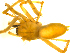  ( - BIOUG00623-C07)  @12 [ ] CC-0  G. Blagoev 2010 Unspecified