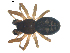  ( - BIOUG00623-D02)  @13 [ ] CC-0  G. Blagoev 2010 Unspecified