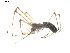  ( - BIOUG00623-D09)  @13 [ ] CC-0  G. Blagoev 2010 Unspecified