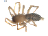  ( - BIOUG00623-E04)  @12 [ ] CC-0  G. Blagoev 2010 Unspecified