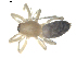  ( - BIOUG00623-E05)  @12 [ ] CC-0  G. Blagoev 2010 Unspecified