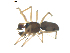  ( - BIOUG00623-E06)  @12 [ ] CC-0  G. Blagoev 2010 Unspecified