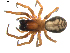  ( - BIOUG00624-B05)  @13 [ ] CC-0  G. Blagoev 2010 Unspecified