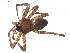  ( - BIOUG01965-D09)  @12 [ ] CC-0  G. Blagoev 2012 Unspecified