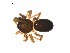  ( - BIOUG12605-D07)  @13 [ ] CreativeCommons - Attribution (2014) G. Blagoev Centre for Biodiversity Genomics