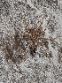  ( - BIOUG39662-F01)  @11 [ ] CC0 (2020) Unspecified Unspecified