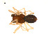 ( - BIOUG12607-A11)  @13 [ ] CreativeCommons - Attribution (2014) G. Blagoev Centre for Biodiversity Genomics
