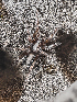  ( - BIOUG39662-E10)  @11 [ ] CC0 (2020) Unspecified Unspecified