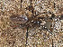  ( - BIOUG50818-B03)  @11 [ ] CC0 (2024) Unspecified Unspecified