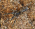  ( - BIOUG50818-B05)  @11 [ ] CC0 (2024) Unspecified Unspecified
