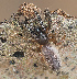  ( - BIOUG50818-B08)  @11 [ ] CC0 (2024) Unspecified Unspecified