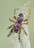  ( - BIOUG55207-C06)  @11 [ ] CC0 (2022) Unspecified Unspecified