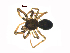  ( - BIOUG90619-H02)  @11 [ ] CreativeCommons - Attribution Non-Commercial Share-Alike (2022) Centre for Biodiversity Genomics Centre for Biodiversity Genomics