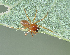 ( - BIOUG46673-H02)  @11 [ ] CC0 (2021) Unspecified Unspecified