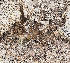  ( - BIOUG39666-G04)  @11 [ ] CC0 (2021) Unspecified Unspecified