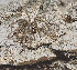  ( - BIOUG46369-A05)  @11 [ ] CC0 (2021) Unspecified Unspecified