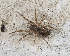  ( - BIOUG55208-B01)  @11 [ ] CC0 (2023) Unspecified Unspecified