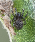  ( - BIOUG46673-G08)  @11 [ ] CC0 (2021) Unspecified Unspecified