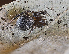  ( - BIOUG46671-A11)  @11 [ ] CC0 (2021) Unspecified Unspecified