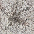  ( - BIOUG75010-E05)  @11 [ ] CC0 (2024) Unspecified Unspecified