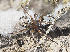  ( - BIOUG39666-H05)  @11 [ ] CC0 (2021) Unspecified Unspecified