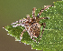  ( - BIOUG46369-H09)  @11 [ ] CC0 (2021) Unspecified Unspecified