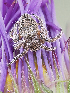  ( - BIOUG46672-F05)  @11 [ ] CC0 (2021) Unspecified Unspecified