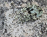  ( - BIOUG46672-C03)  @11 [ ] CC-0 (2020) Unspecified Unspecified